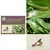 Insect Lures For Tea Leaf Roller (Caloptilia Theivora)(Pack-5 Pcs)